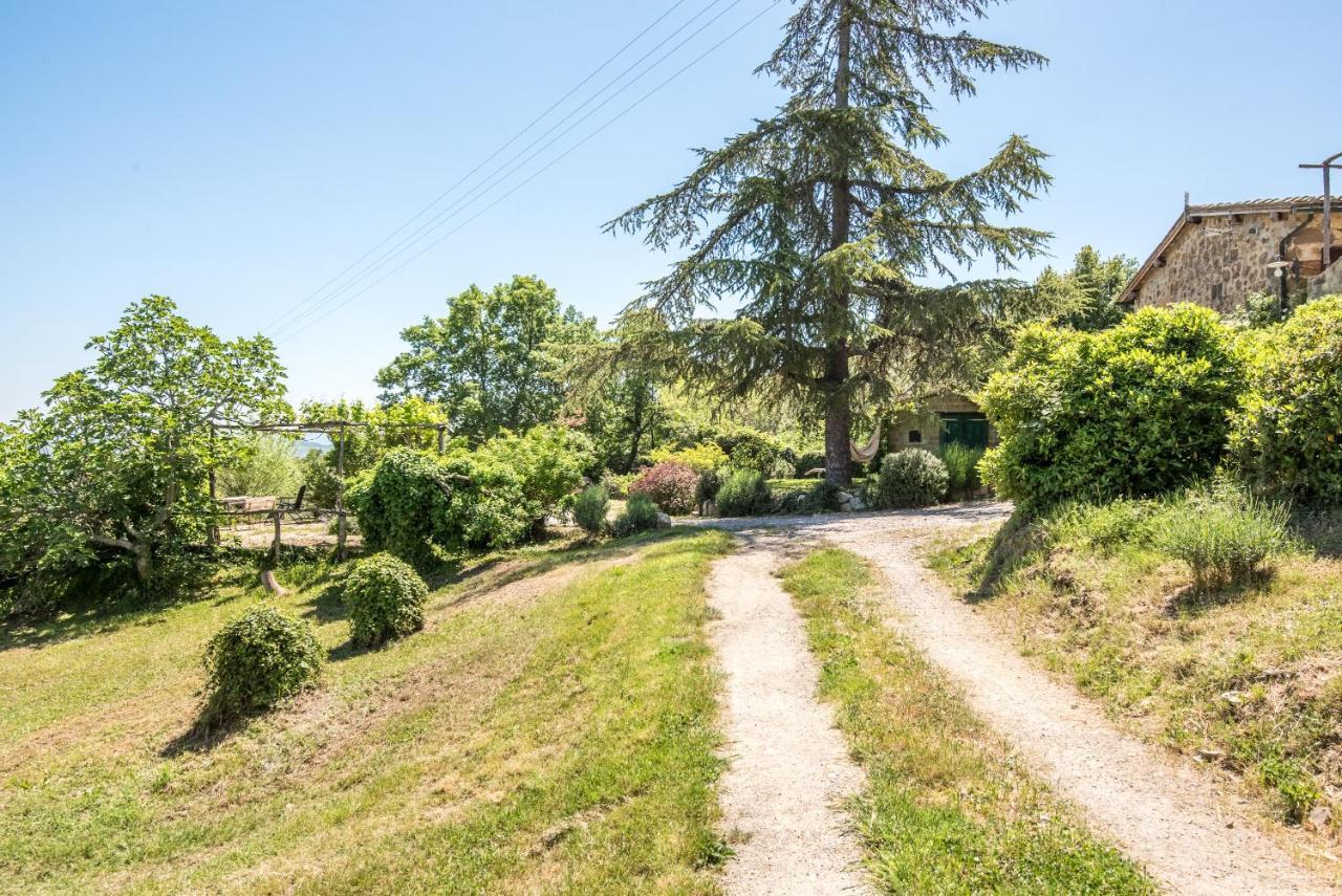 Appartamento Gemma Bianca-Tavoleto Castiglione dʼOrcia Exteriér fotografie